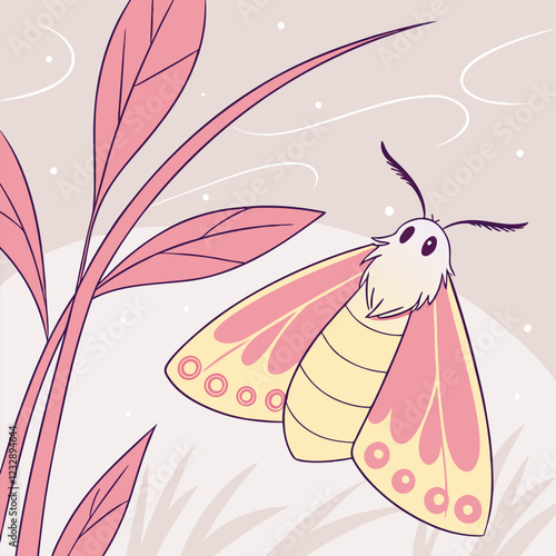 Rosy Maple Moth A Cotton-Candy-Colored Marvel