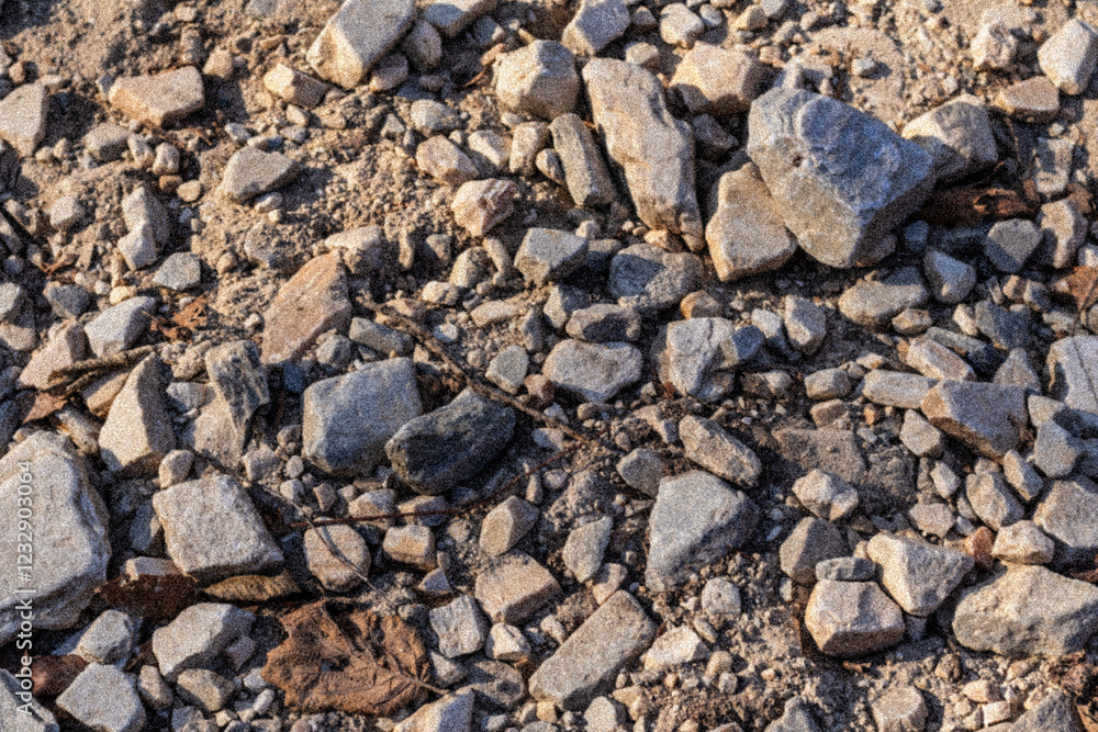 rugged path covered in stones and dried leaves, bathed in the warm glow of sunlight. This image beautifully captures the textured surface and natural debris of a serene outdoor hiking trail rugged path covered in stones and dried leaves, bathed in the warm glow of sunlight. This image beautifully captures the textured surface and natural debris of a serene outdoor hiking trail