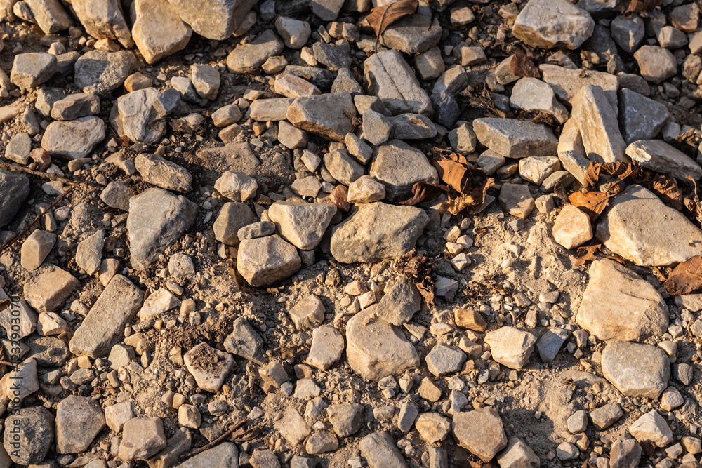 A stony path littered with dried leaves under warm sunlight, capturing the rustic charm of an outdoor trail A stony path littered with dried leaves under warm sunlight, capturing the rustic charm of an outdoor trail