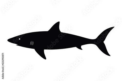 a shark on white vector illustration