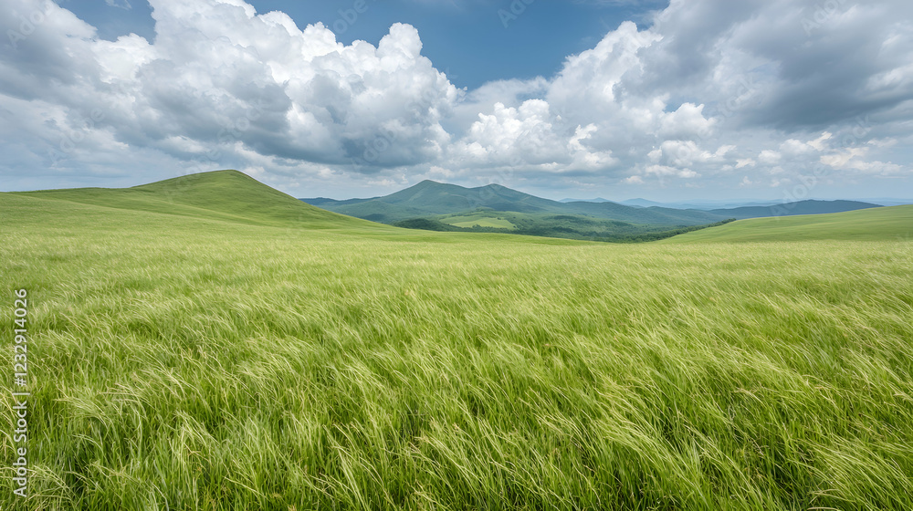 Fototapeta premium Rolling hills, green grass, windy day, scenic landscape, nature background