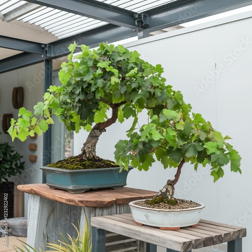 A highly detailed and realistic bunch of bonsai 
tree  with flower on the vine. AI generative.