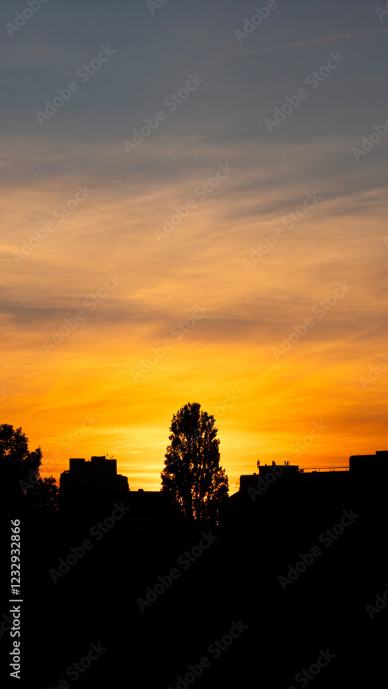 Silhouette of tree and buildings opposite beautiful sunset with colorful dramatic sky vertical composition Silhouette of tree and buildings opposite beautiful sunset with colorful dramatic sky vertical composition