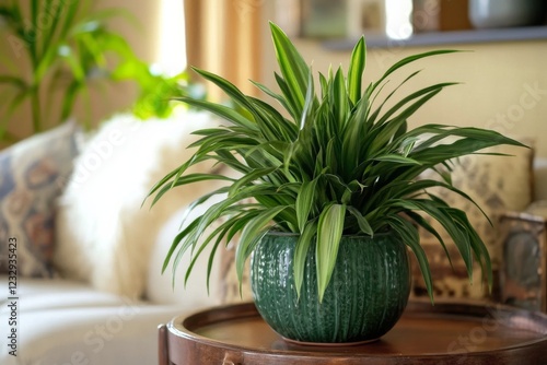 Indoor plant arrangement on a wooden table in a cozy living room setting with...