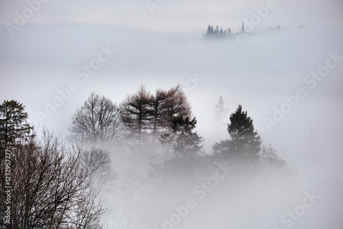 Mglisty poranek w górach z widocznymi wierzchołkami drzew photo