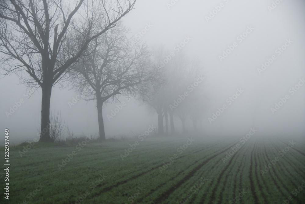Nebbia in Pianura Padana, Frazione Passalacqua - Tortona - Alessandria - Piemonte - Italia Nebbia in Pianura Padana, Frazione Passalacqua - Tortona - Alessandria - Piemonte - Italia
