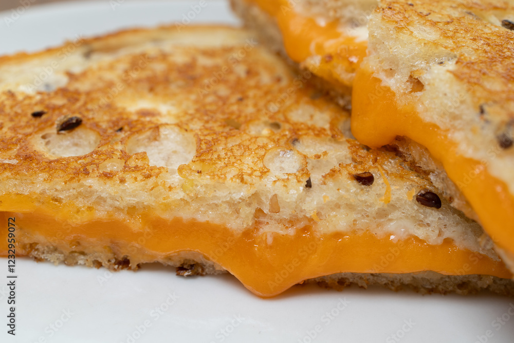 Homemade grilled cheese sandwich close up. Homemade grilled cheese sandwich close up.