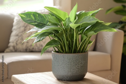 Indoor plant arrangement on a wooden table in a cozy living room setting with...