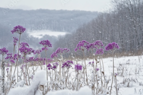 Blooming purple flowers emerging through snow in a serene winter landscape