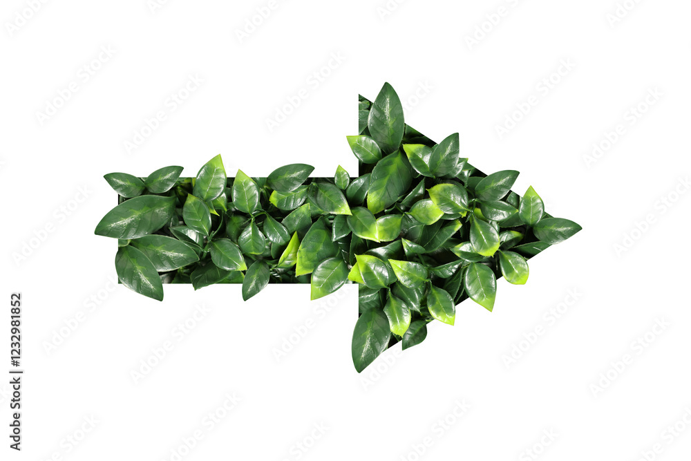 Arrow with green leaves inside isolated on white