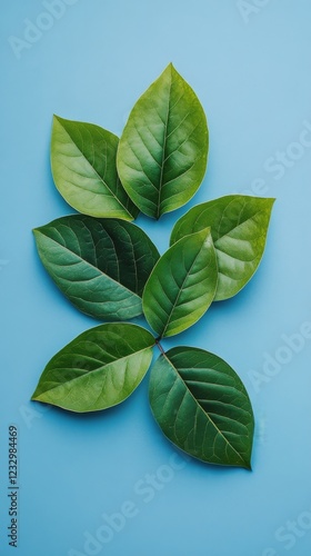 Lush green leaves arranged aesthetically on a vibrant blue background in natu...