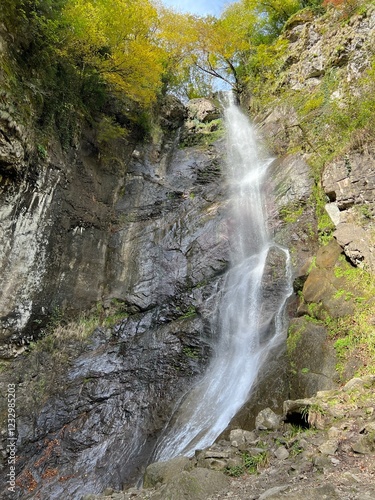 Makhuntseti waterfall, one of the highest waterfalls in Ajara. Point in a Acharistsqali river, where water flows over a vertical drop or a series of steep drops. photo