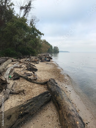 Peace on the Potomac 