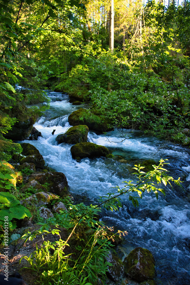 Stream through green trees at Golling Waterfall on a spring morning in Golling an der Salzach, Austria. Stream through green trees at Golling Waterfall on a spring morning in Golling an der Salzach, Austria.