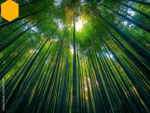 A bamboo forest with dense green stalks creating a natural tunnel, leading to a sunlit clearing with grass and dry leaves on the ground. photo