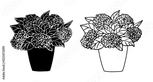 Hydrangea in a pot. Vector black and white handmade hydrangea drawing. A potted plant for home and garden. Vector illustration.