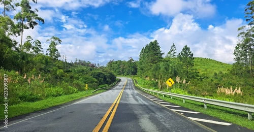 Papier peint Uma linda estrada vicinal no Vale do Ribeira, estado de São Paulo, Brasil