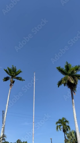 Cielo azul con nubes blancas en zona costera 