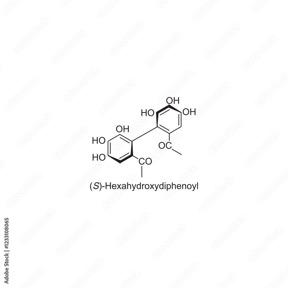 (S)-Hexahydroxydiphenoyl skeletal structure.Tannin compound schematic illustration. Simple diagram, chemical structure. (S)-Hexahydroxydiphenoyl skeletal structure.Tannin compound schematic illustration. Simple diagram, chemical structure.