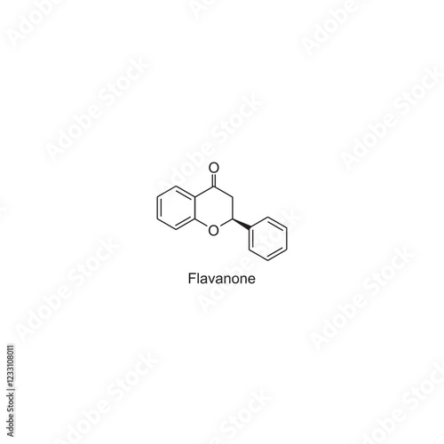Flavanone skeletal structure.Flavonoid compound schematic illustration. Simple diagram, chemical structure.