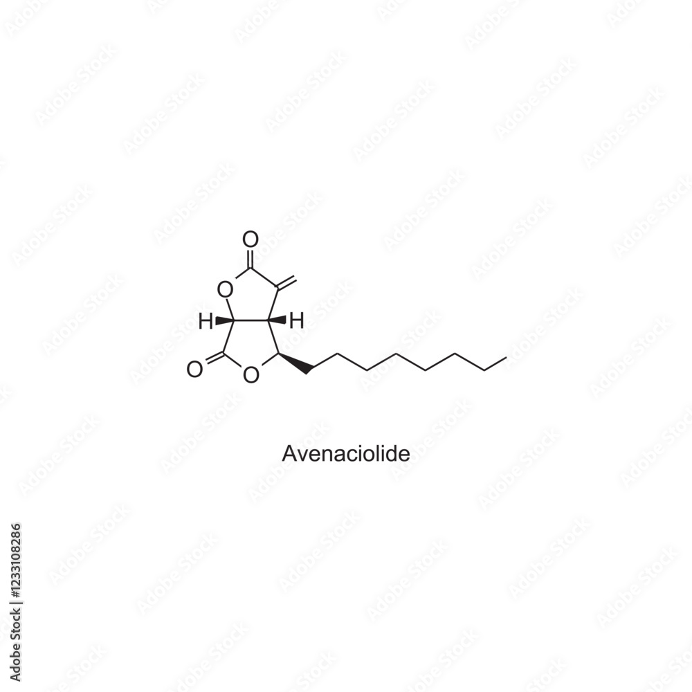 Avenaciolide skeletal structure.Lactone compound schematic illustration. Simple diagram, chemical structure. Avenaciolide skeletal structure.Lactone compound schematic illustration. Simple diagram, chemical structure.