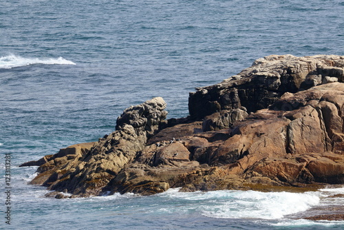 wilsons promontory photo