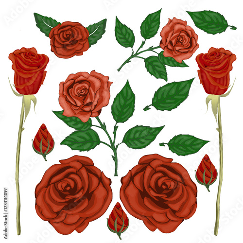 Rose icon symbol with several points of view, suitable for additional elements on your design.