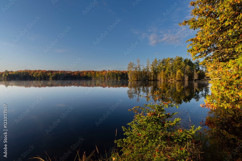 Fototapeta premium Nature Lovers