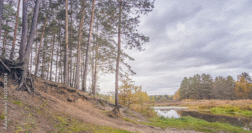 Forest with a river running through it