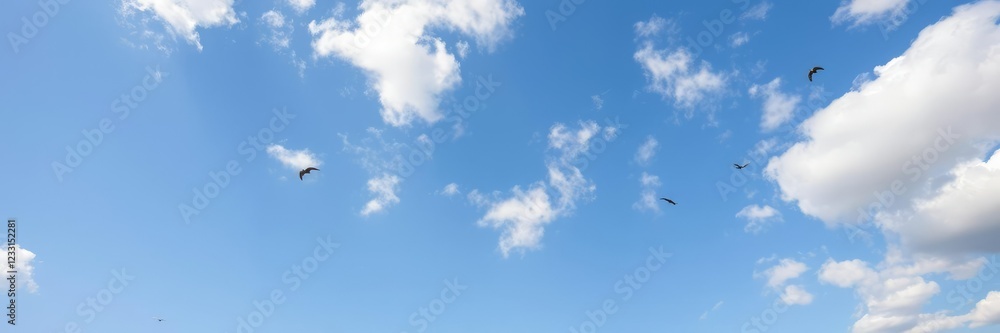 Light blue sky with scattered cumulus clouds and a few stray birds soaring overhead, flight, winged Light blue sky with scattered cumulus clouds and a few stray birds soaring overhead, flight, winged