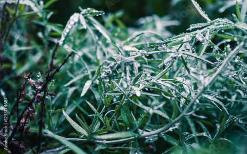 Green plant