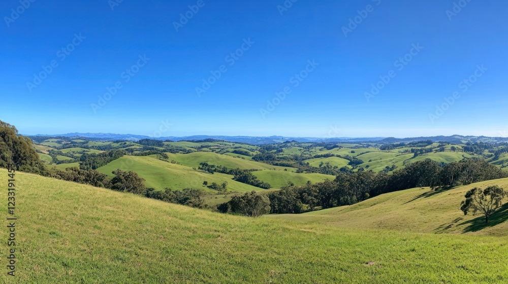 Serene Rolling Hills Under a Vast Blue Sky Serene Rolling Hills Under a Vast Blue Sky