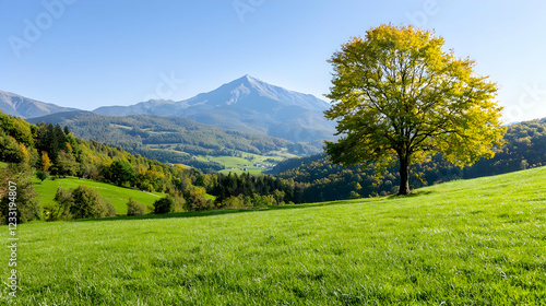 Solitary tree autumnal mountain valley landscape photo