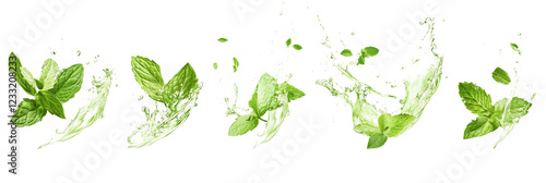 Peppermint tea splashes isolated on transparent background