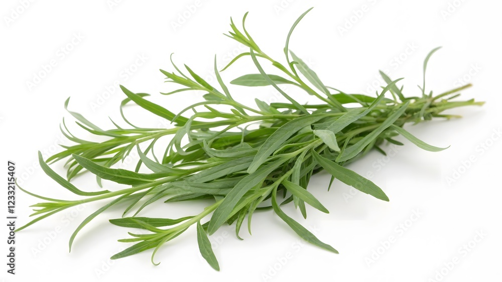 Fototapeta premium Fresh Tarragon Sprig on White Background