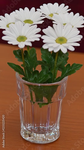 Wallpaper Mural White daisies in glass vase on wood table Torontodigital.ca