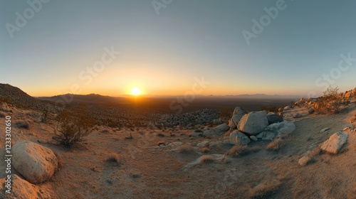 Joshua Tree National Park, USA. Panoramic shot , sunset in the desert , Gold desert