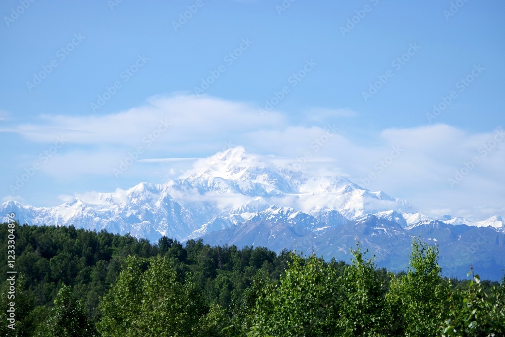 Fototapeta premium Denali’s Snowy Peak Above Alaskan Forest