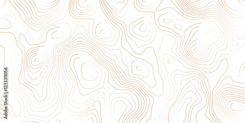 Topography background. Vector banner. Topography background. Vector geographic contour map. Background of the topographic map. Topographic map lines, contour background. 