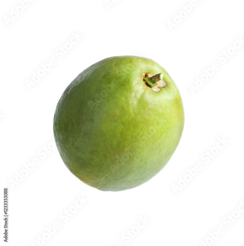 One fresh guava fruit isolated on white