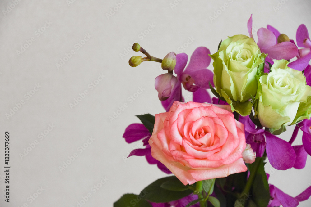 Obraz premium 薔薇とアランダ