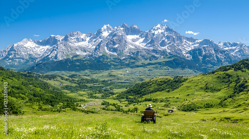 Person sitting on a vehicle looks at snow-capped alpine mountains across a lush green valley in sunny daytime.
