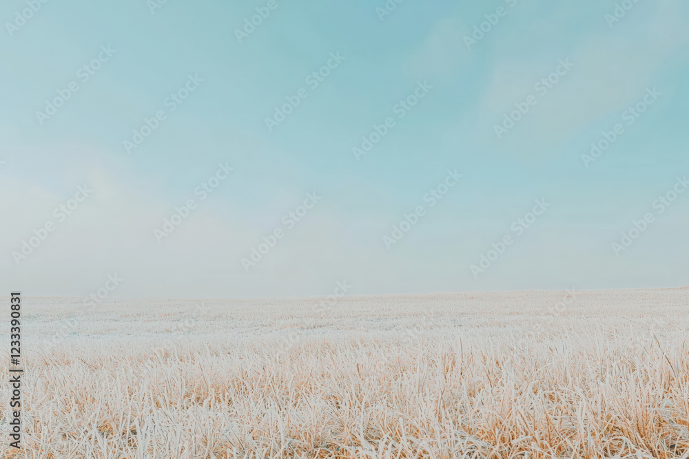Obraz premium serene landscape of frosty tundra with dead grass under clear blue sky