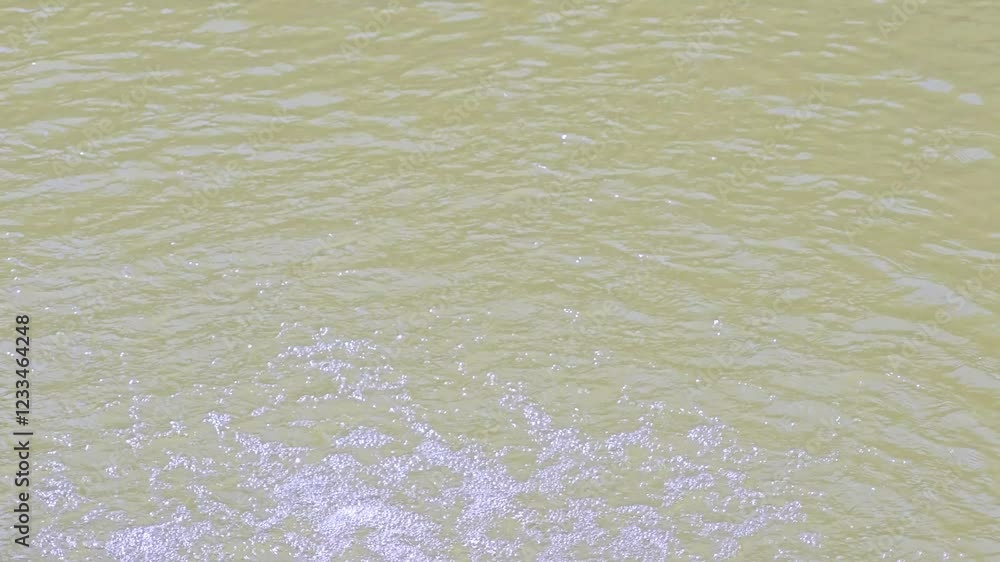 Water treatment to add oxygen to water in pond Water treatment to add oxygen to water in pond
