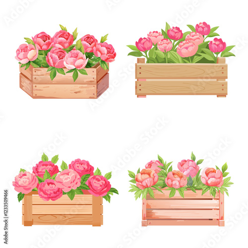 Set OF Hand Draw Wooden Box In Flower Collection Vector Design