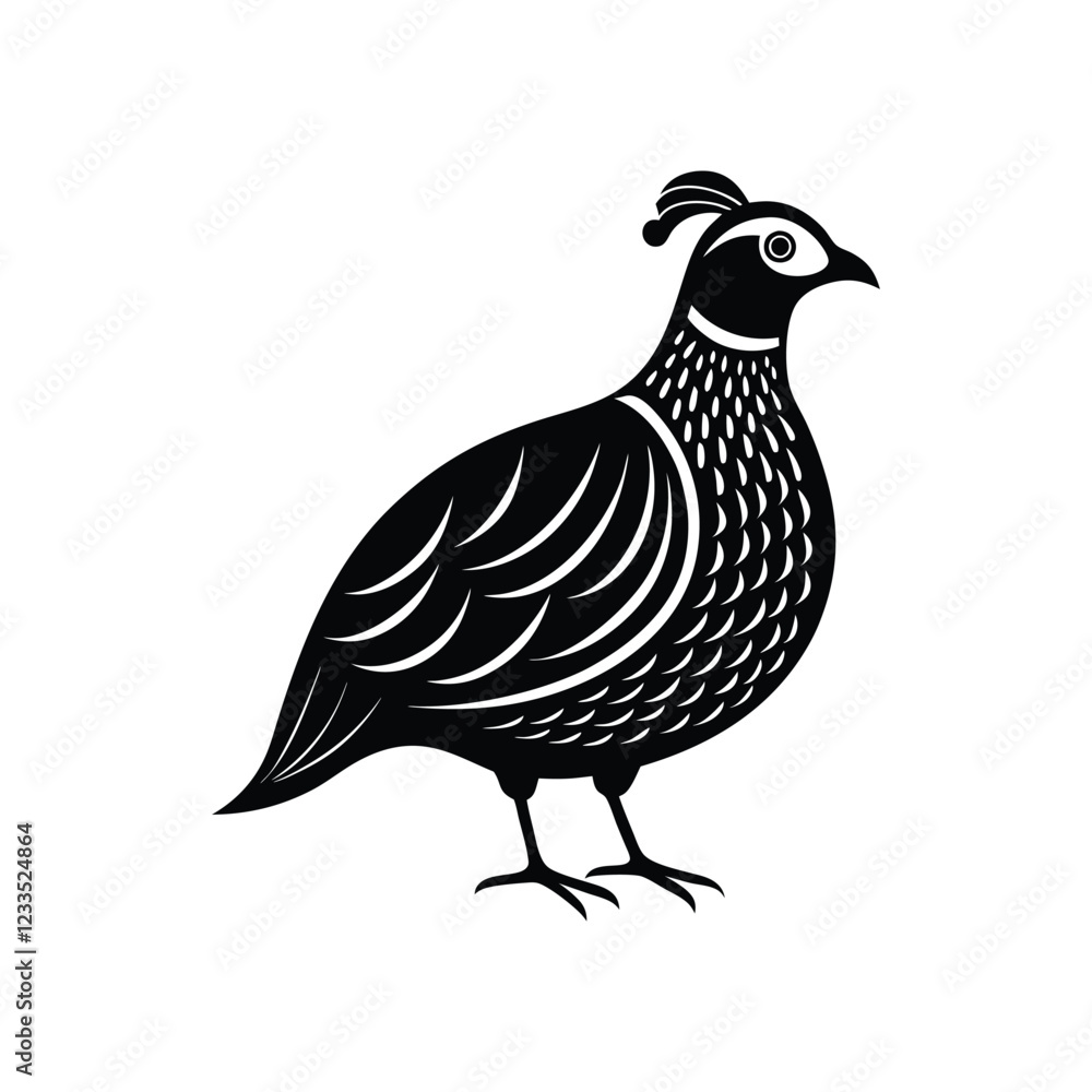Fototapeta premium a quail bird of vector illustration