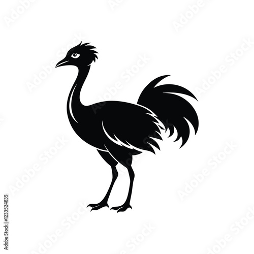 a emu bird vector illustration