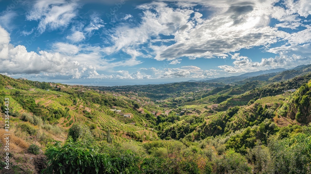 Obraz premium Panoramic View of Rolling Hills and Vineyards Under a Cloudy Sky