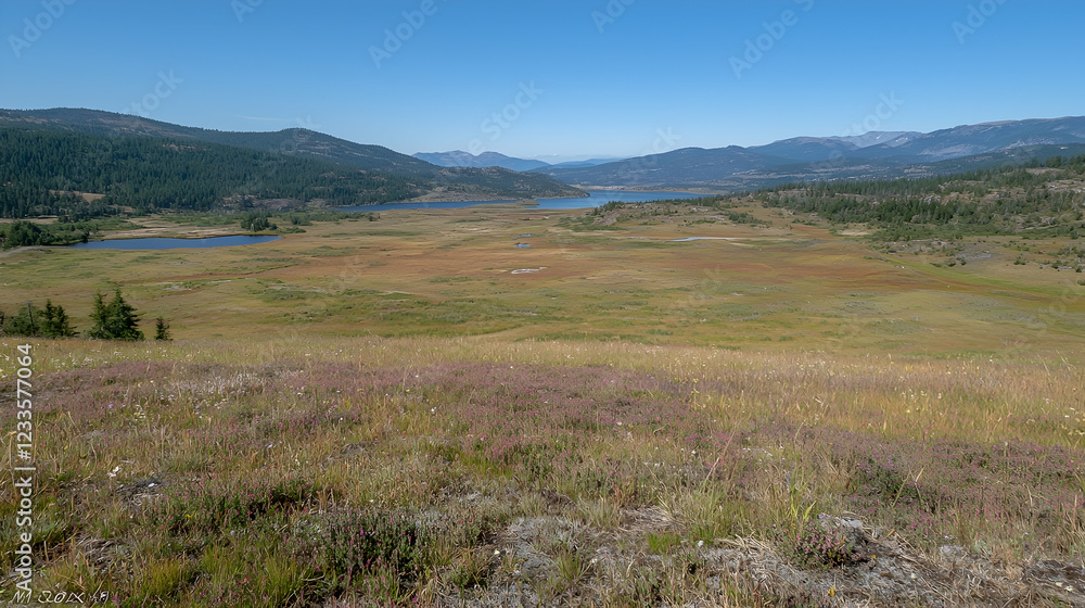 Mountain lake valley autumn landscape, wildflowers foreground Mountain lake valley autumn landscape, wildflowers foreground