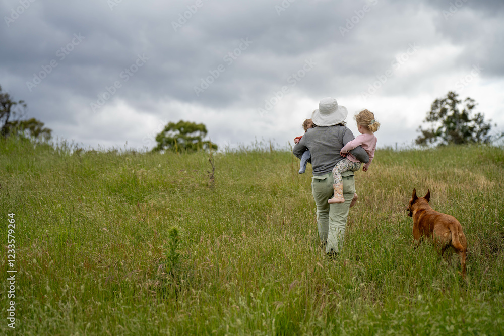 agriculture crops, pasture and grasses growing in sustainable food production on a regenerative farm. native plants storing carbon at dusk. australian farming landscape in spring agriculture crops, pasture and grasses growing in sustainable food production on a regenerative farm. native plants storing carbon at dusk. australian farming landscape in spring